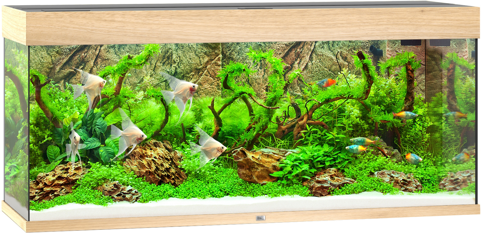 Juwel Rio 240 LED