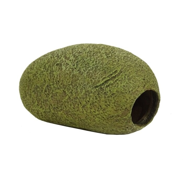 Blue Belle Pacific Pacific Stone Cave