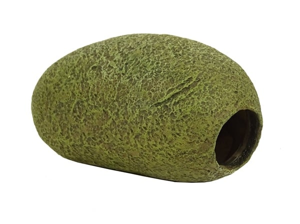 Blue Belle Pacific Pacific Stone Cave