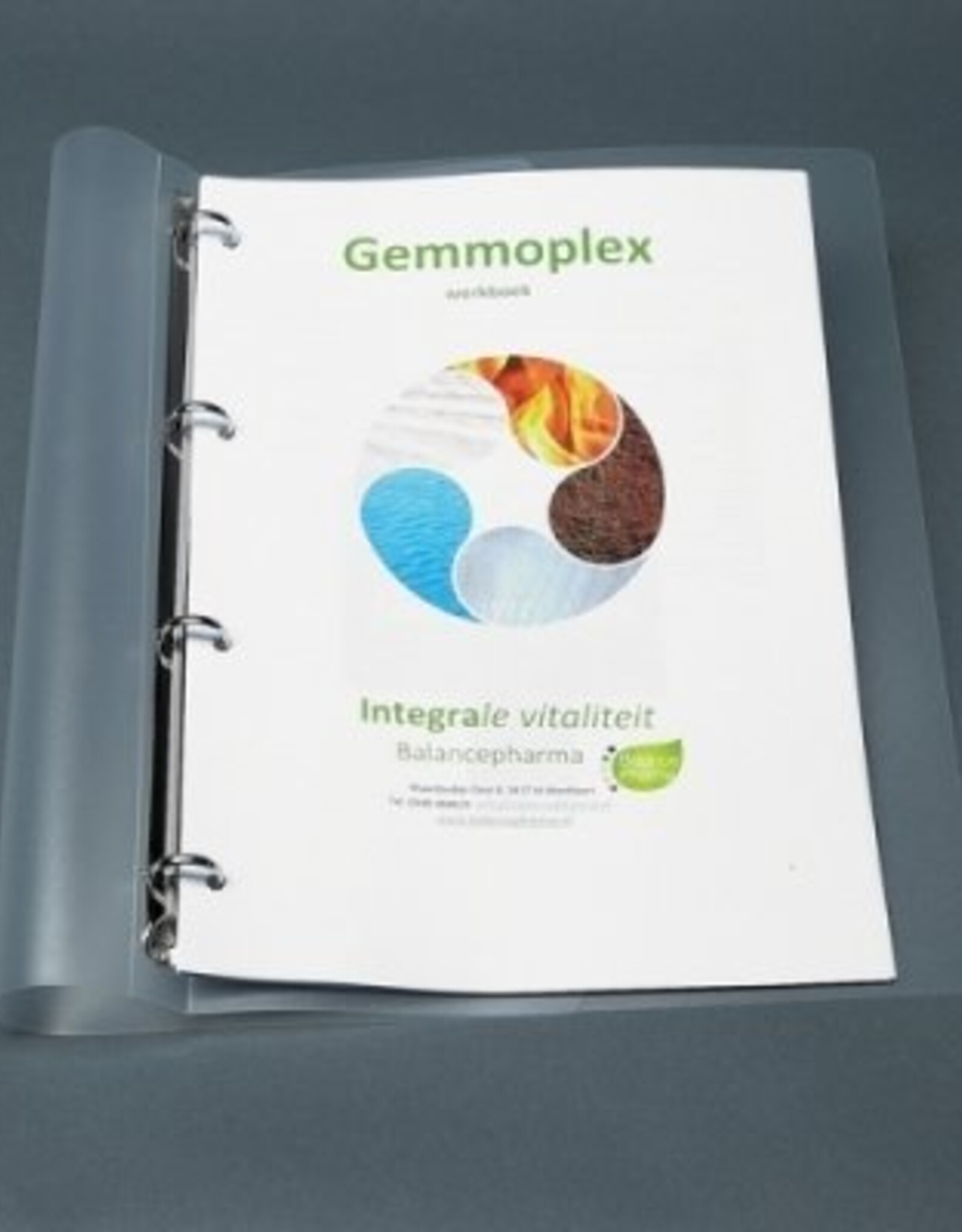 Werkboek Gemmoplex