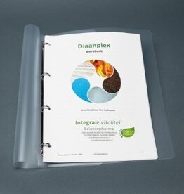 Werkboek Diaanplex (DPL)