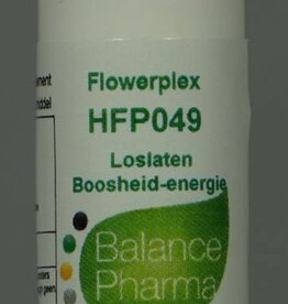 HFP 049 Loslaten boosheid-energie