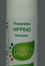 Flowerplex 042 Motivatie