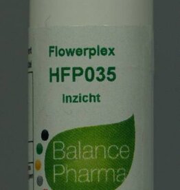 HFP 035 Inzicht