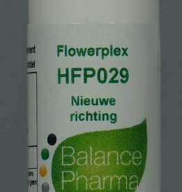 HFP 029 Nieuwe richting