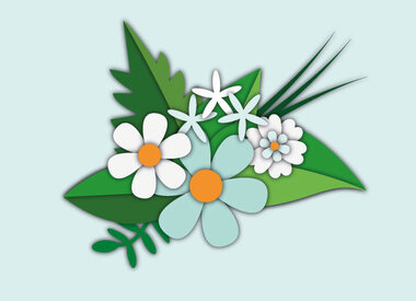 Testsets & werkboeken