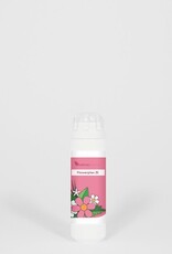 Flowerplex 025 Innerlijke balans