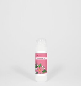 HFP 025 Innerlijke balans