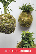 2023 Kokedama