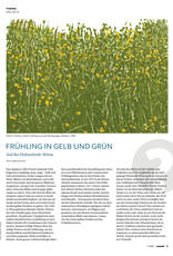 Magazin manuell Ausgabe März 2024