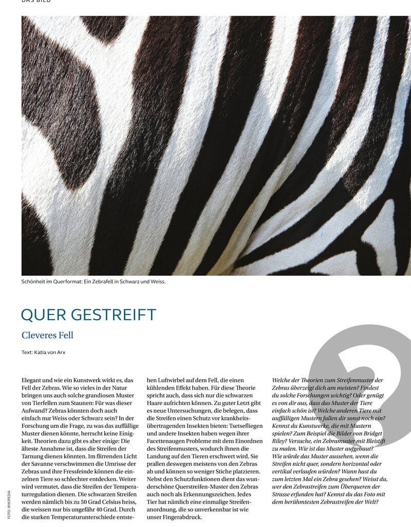 Magazin manuell Ausgabe September 2024