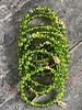 Peridot-Armband - 6 mm - 'Happy Buddha'