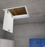 Wellhöfer DeckenTüre mit WärmeSchutz WS4D (Maßanfertigung) Wellhöfer DeckenTüre mit WärmeSchutz WS4D (Maßanfertigung)