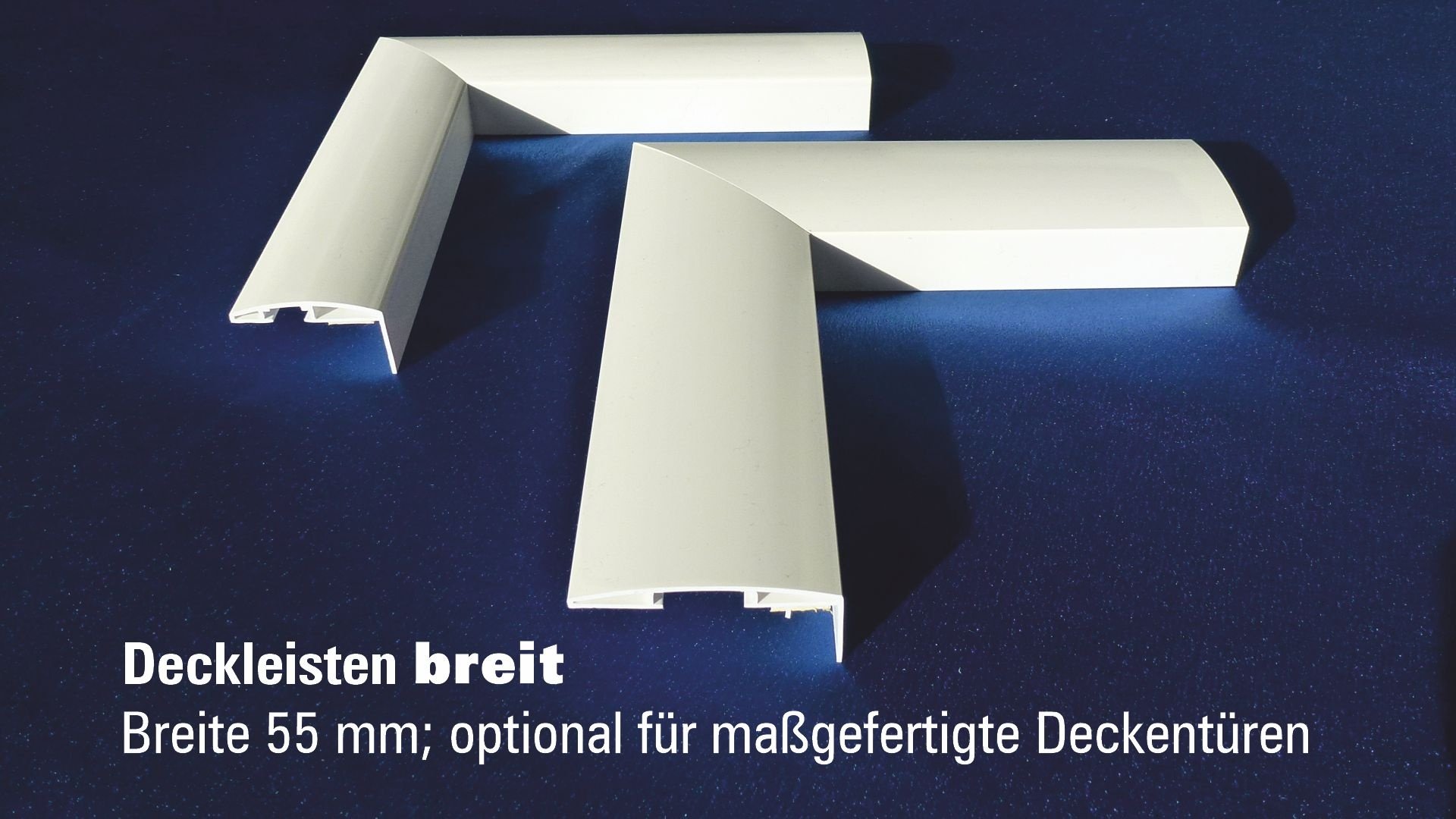 Wellhöfer DeckenTüre mit WärmeSchutz WS3D (Maßanfertigung)