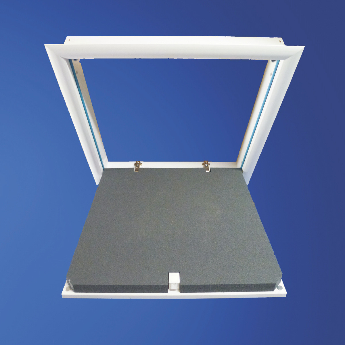 Wellhöfer DeckenTüre mit WärmeSchutz WS3D (Standardmaße)