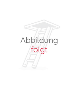 FAKRO Flachdach-Fenster DEF DU6