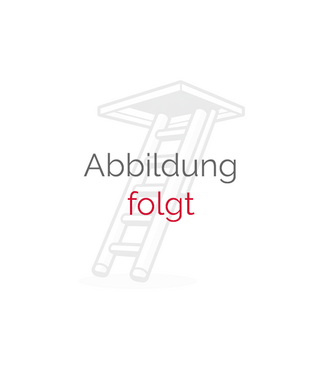 FAKRO Flachdach-Ausstiegsfenster DRF DU6