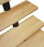 ATRIUM Mittelholmtreppe Dixi Buche