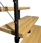 ATRIUM Mittelholmtreppe Dixi Buche