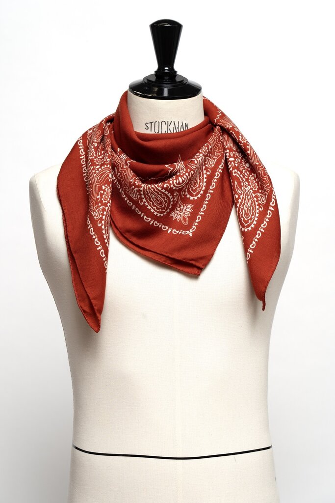 Destin Judy Carre Bandana - Pumpkin