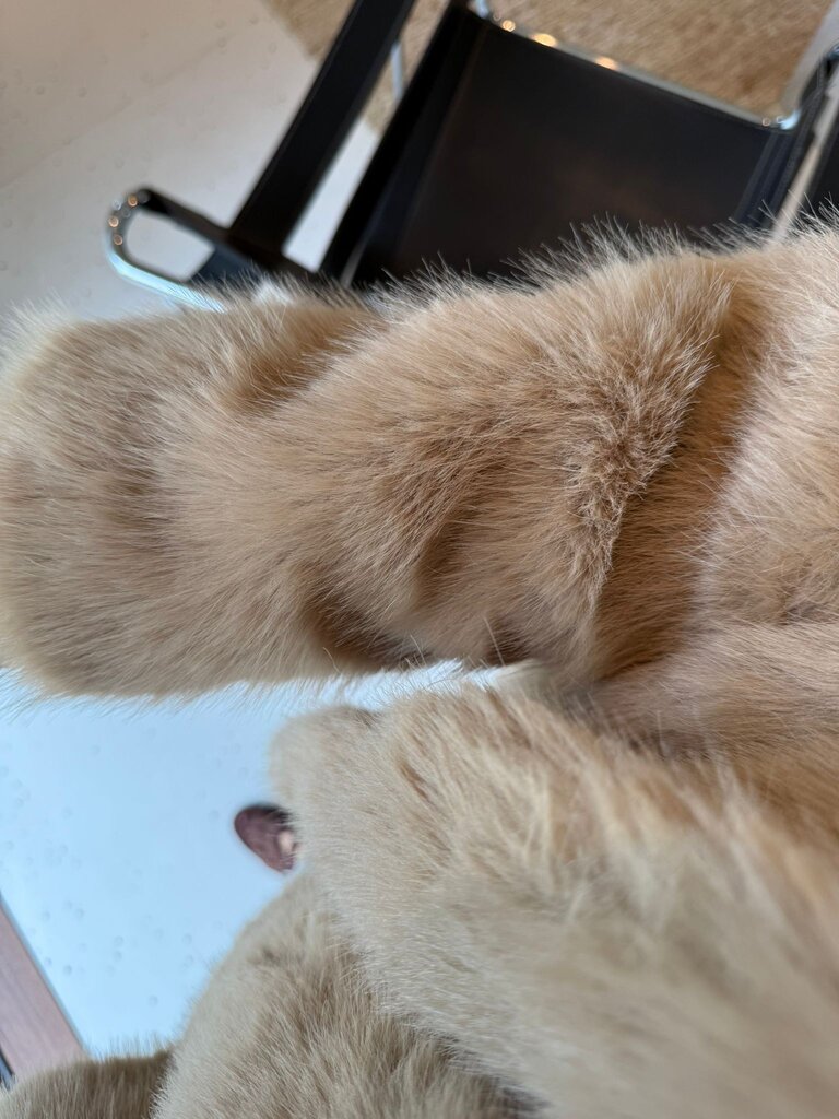 Bad Habits Salma Coat - Camel