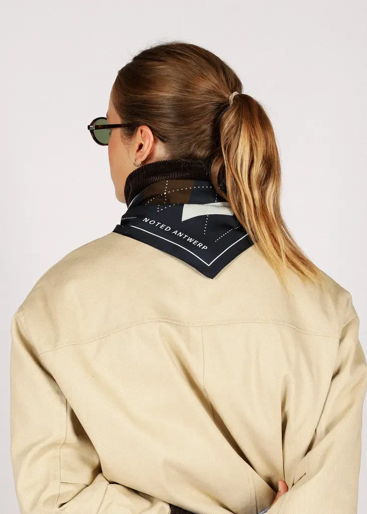 NOTED Alice Mini Scarf - Brown/Blue