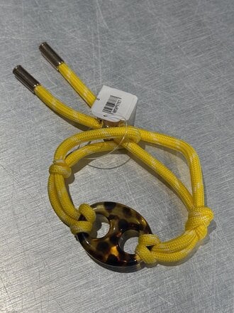 Pignose brown - Yellow