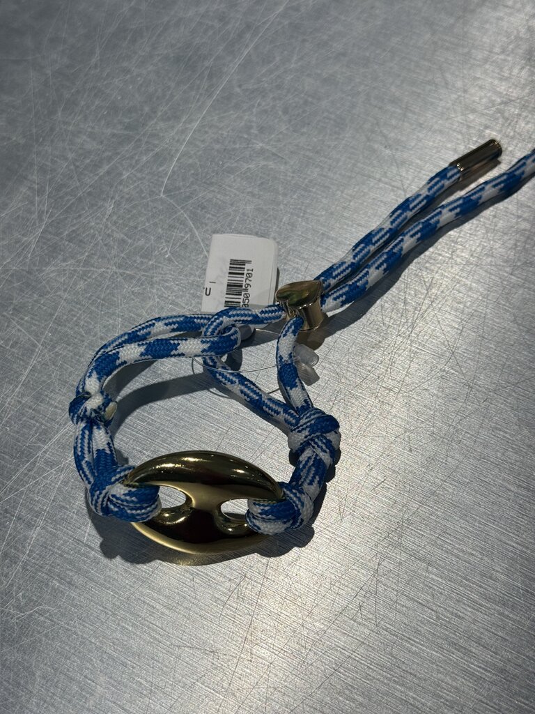 Pignose gold - Blue/ white