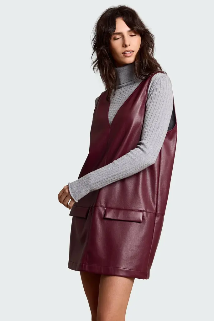 Studio Clique Ella Dress - Burgundy