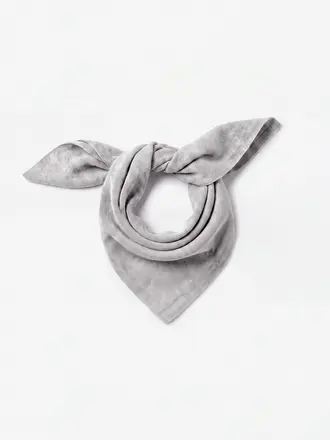 Absolut Cashmere Annabelle Scarf - Ash