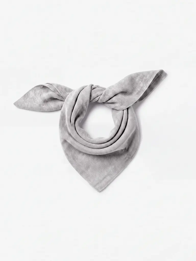 Absolut Cashmere Annabelle Scarf - Ash