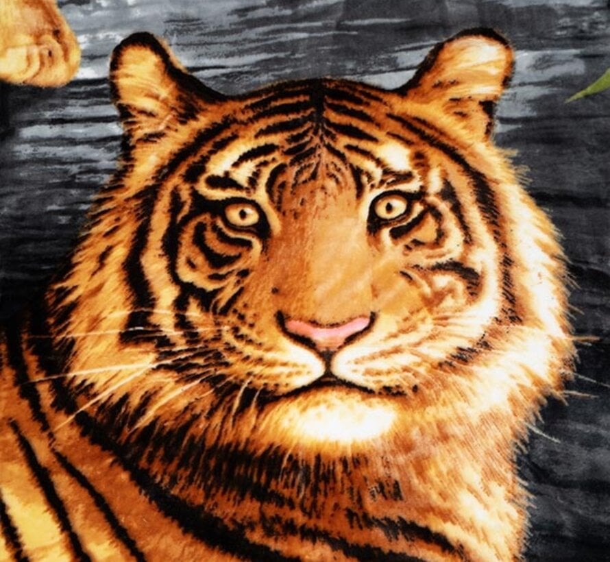 Deken Embossed - Tiger King - Multi