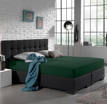 Dreamhouse Hoeslaken Dubbel Jersey - Extra Hoog - Botanical Groen