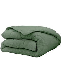 Whitelabel Dekbed Zonder Overtrek - Groen Teddy