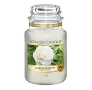 Yankee Candle Camelia Blossom (623G)