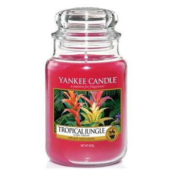 Yankee Candle Tropical Jungle (623G)