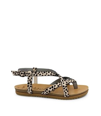 Blowfish Malibu Blowfish Malibu ladies leopard sandal