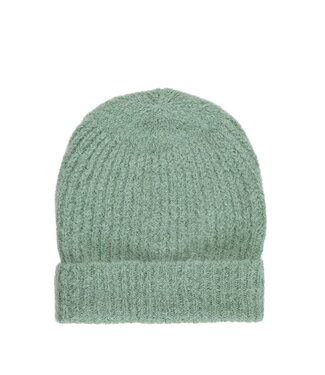 American Dreams American Dreams Alpaca Beanie green