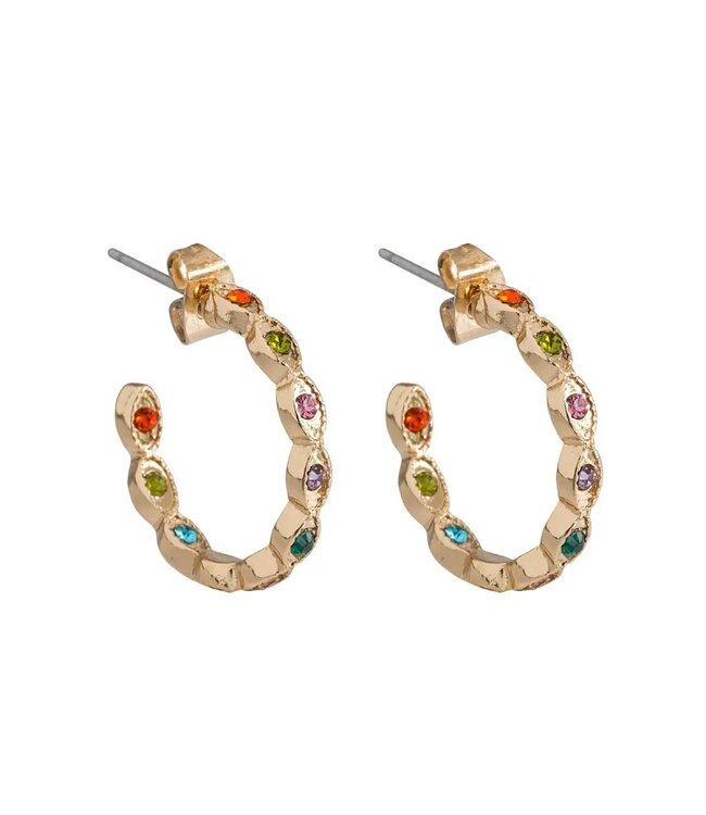 Timi of Sweden Timi of Sweden Colorful Chrystal Hoop oorbellen goud