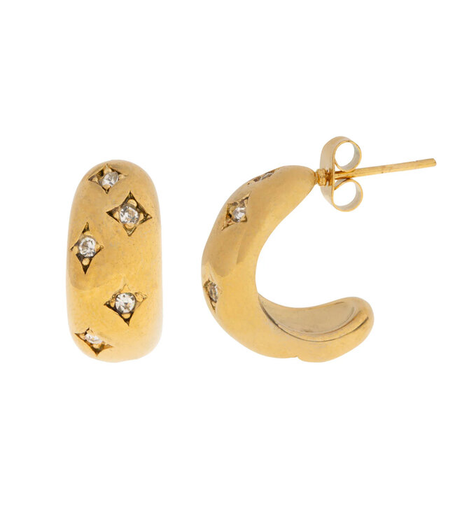 Timi of Sweden Timi of Sweden Vilma Crystal Hoop earrings gold