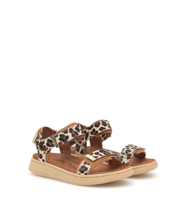 Wood Line Animal Leopard women's sandal