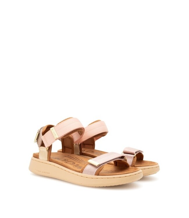 Wood Line Blush Multi women's sandal
