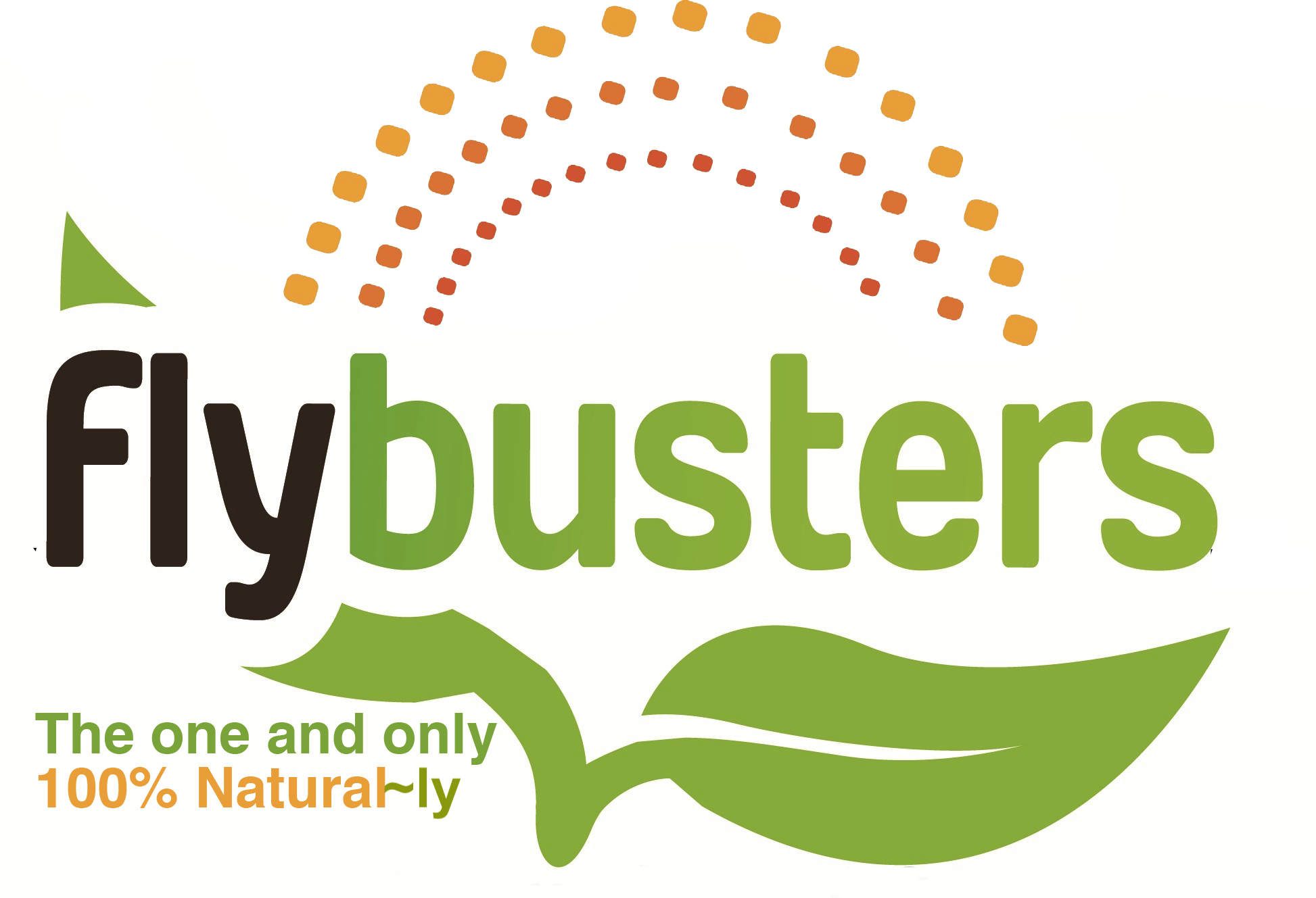 Flybusters 