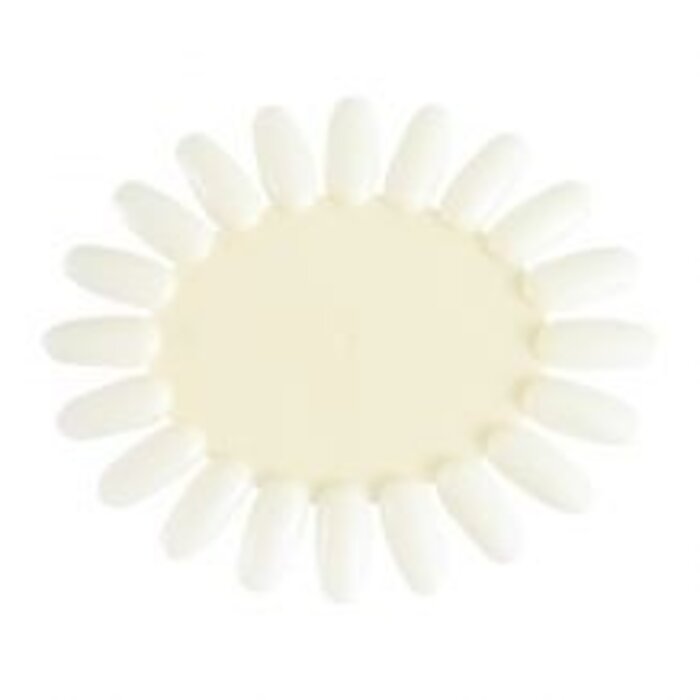 Nail Wheel Ellipse Natural