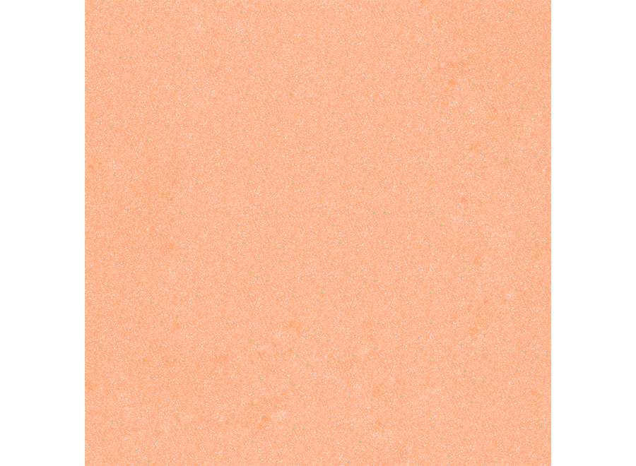 BO.NAIL Dip #010 Just Peachy