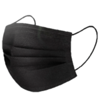 Beauty Company 10 Stuks mondmaskers Black