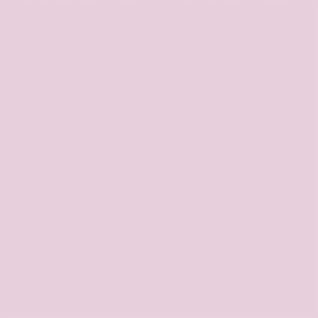 I.Am Acrylic Powder Translucent Pink (250gr)