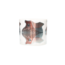 Universal Forms