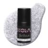 Top Gel - Silver Glitz