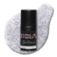 Top Gel - Silver Glitz